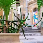 Nocleg ze śniadaniem Sant'alfonso Agrigento