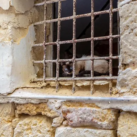 ベッド・アンド・ブレックファスト Sant'alfonso