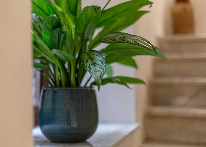 Nocleg ze śniadaniem Sant'alfonso Agrigento